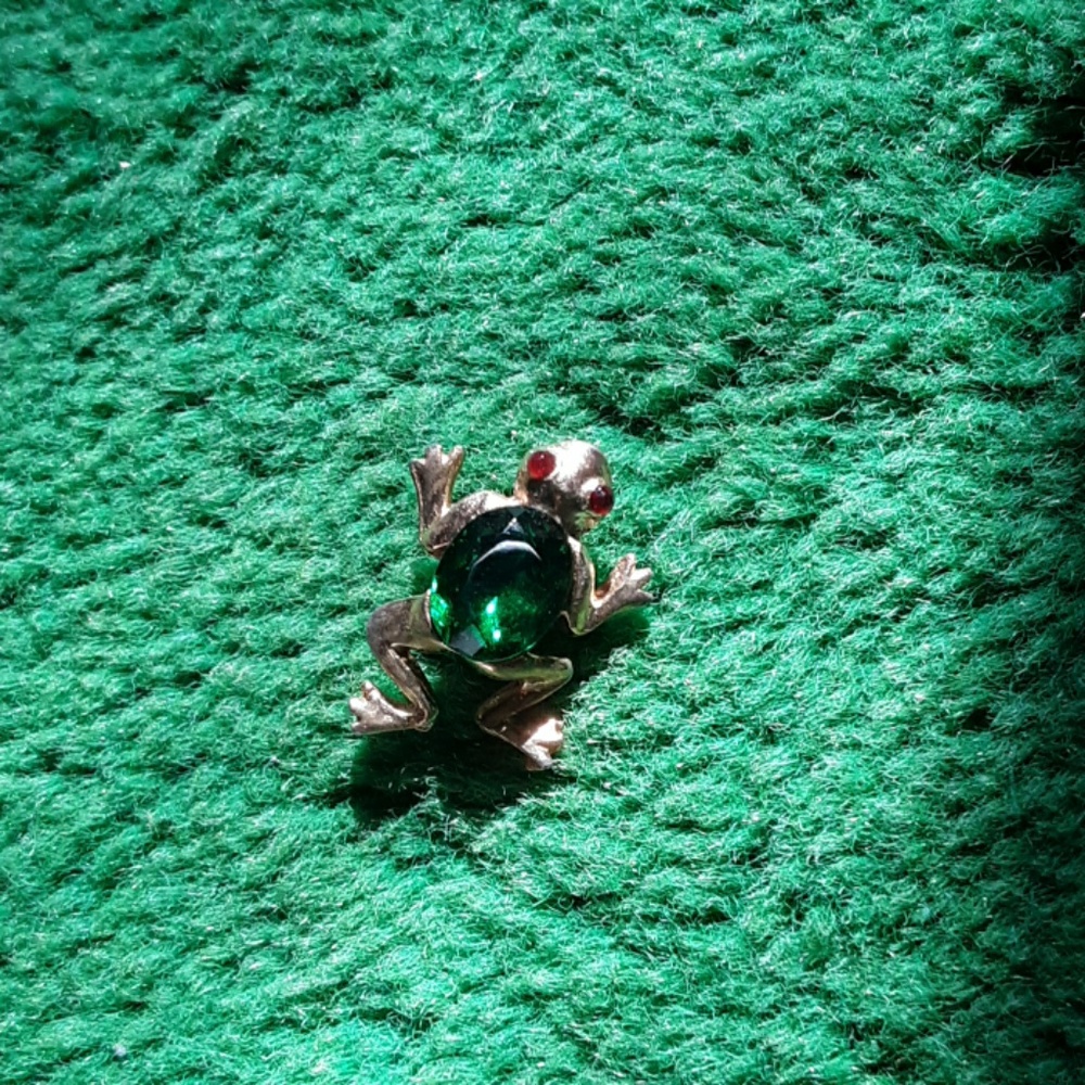 Brooch/pin
